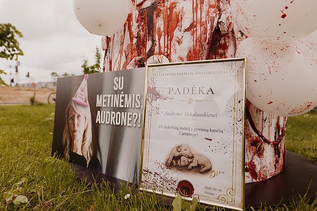 Prie VMVT – dar vienas protestas prieš paršelių kastraciją be nuskausminamųjų Prie VMVT – dar vienas protestas prieš paršelių kastraciją be nuskausminamųjų