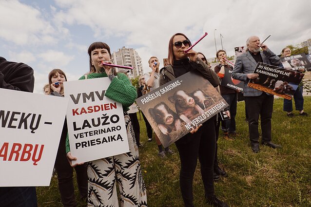 Prie VMVT – dar vienas protestas prieš paršelių kastraciją be nuskausminamųjų Prie VMVT – dar vienas protestas prieš paršelių kastraciją be nuskausminamųjų
