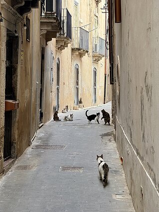 Ortigija