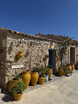 Marzamemis