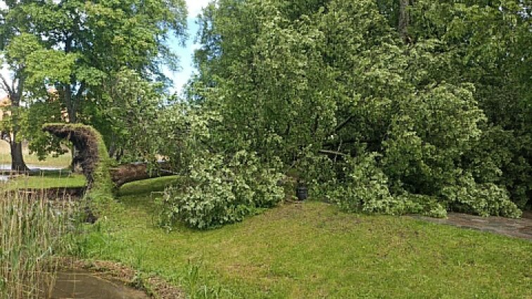 Trakų rajone praūžė audra