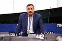 Petras Gražulis