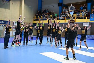 Lietuvos rankinio lygos finalas