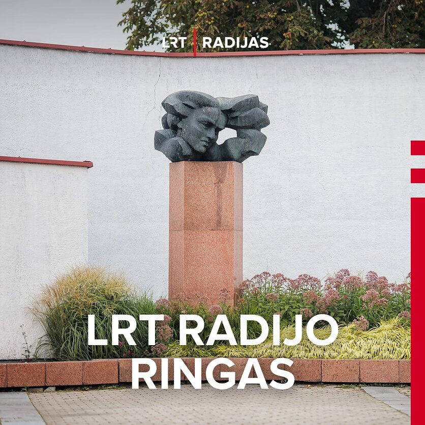 E. Blažio / LRT nuotr., Salomėjos Nėries paminklas Vilniuje