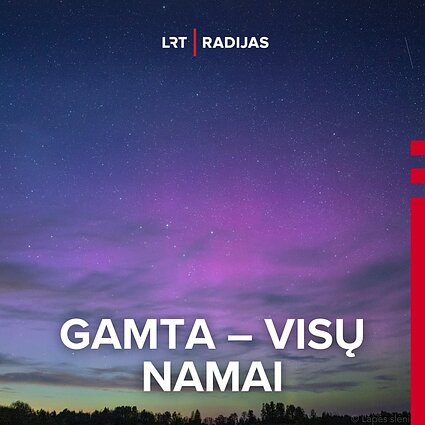 Šiaurės pašvaistė gegužės mėn