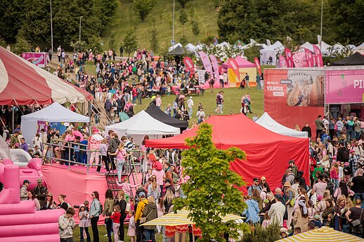 Šaltibarščių festivalis „Vilnius Pink Soup fest“