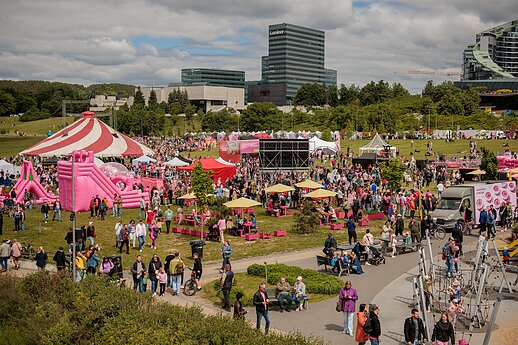 Šaltibarščių festivalis „Vilnius Pink Soup fest“