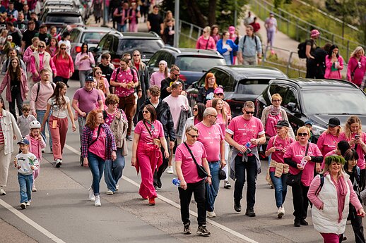 Šaltibarčių festivalyje – rožinis ėjimas