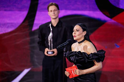 „Sidabrinės gervės“ apdovanojimai