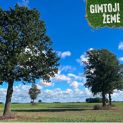 Ūkininkai kritikuoja žemės aukcionus: „gerai veikianti sistema“ –  melas