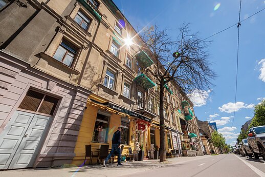 Vilniaus gatvėse – po remonto darbų nudžiuvę medžiai