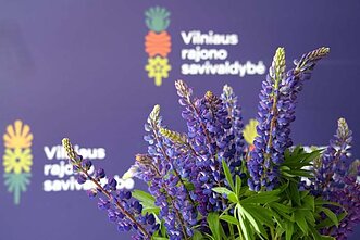 Łubin