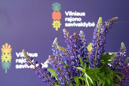 Łubin