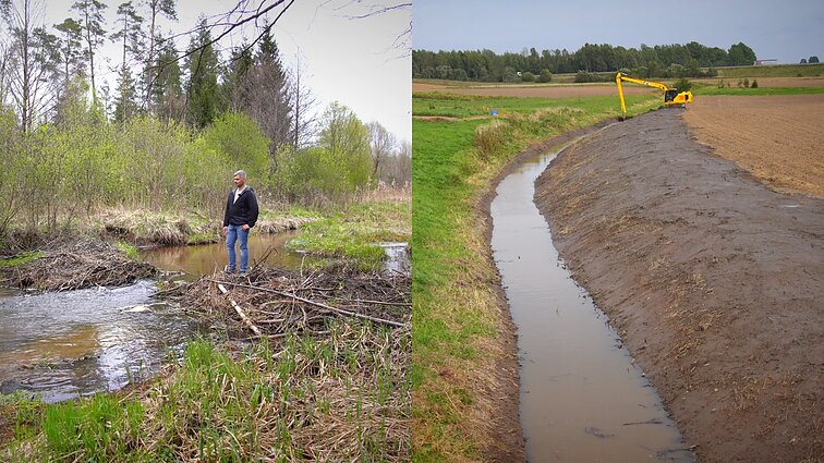 Prašė išardyti užtvanką, o sulaukė ekskavatorių: unikalų upelį gali sunaikinti melioracija