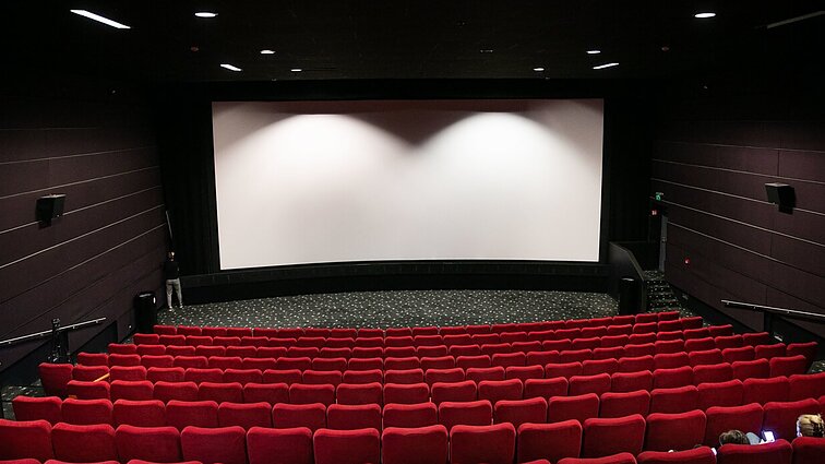 Ne visuomet lepinantys orai kviečia į kino teatrą: filmų rekomendacijos visai šeimai