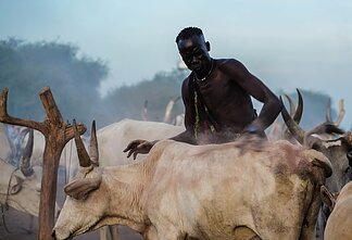 Pietų Sudanas. Mundari gentis Pietų Sudanas. Mundari gentis