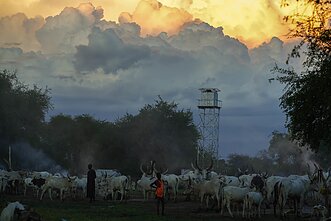Pietų Sudanas. Mundari gentis Pietų Sudanas. Mundari gentis