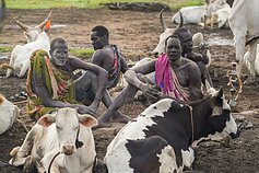 Pietų Sudanas. Mundari gentis Pietų Sudanas. Mundari gentis