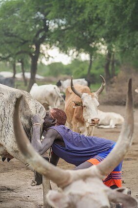 Pietų Sudanas. Mundari gentis Pietų Sudanas. Mundari gentis