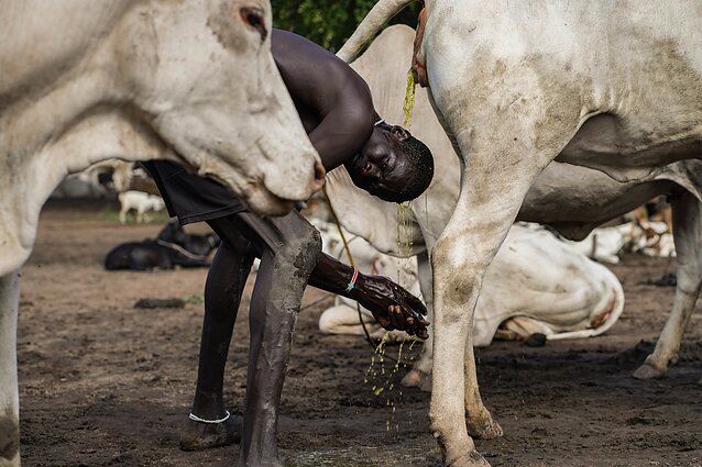 Pietų Sudanas. Mundari gentis Pietų Sudanas. Mundari gentis