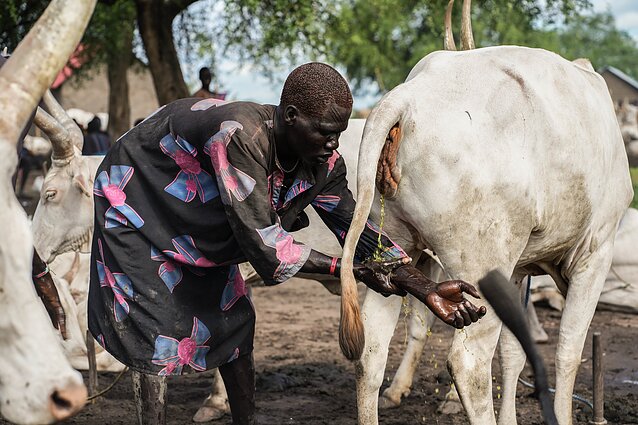 Pietų Sudanas. Mundari gentis Pietų Sudanas. Mundari gentis