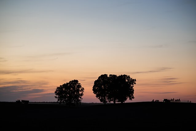 Žemės ūkis Žemės ūkis