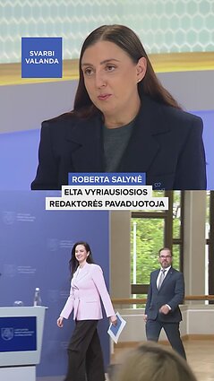 Salynė: įtakingi socdemai mano, kad Ruginienė netinkama premjerės pareigoms