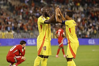 Romelu Lukaku ir Youri Tielemansas