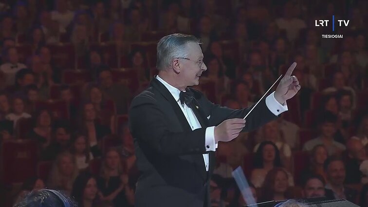 Dainų dainelė 2026. Laureatų koncertas. Auksė Borodinaitė – „Vėžlys“