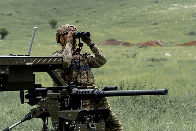 Ukrainos karys