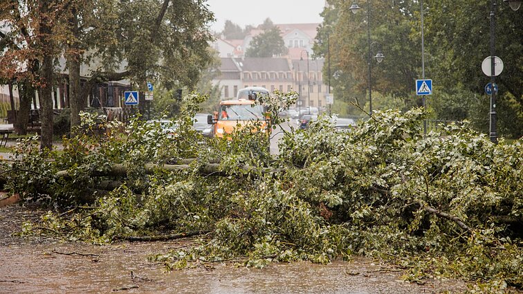 Įspėja dėl audros Rytų Lietuvoje: smarkias liūtis lydės perkūnija, škvaliniai vėjo gūsiai