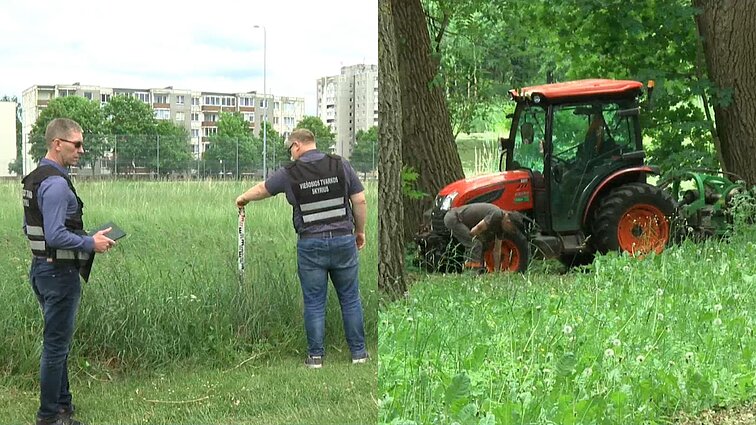 Panevėžyje – baudos už nepjaunamą žolę sklypuose: šie nešienaujant kaltina ir savivaldybę