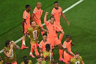 Pasaulio futbolo čempionatas: Nyderlandai – Japonija