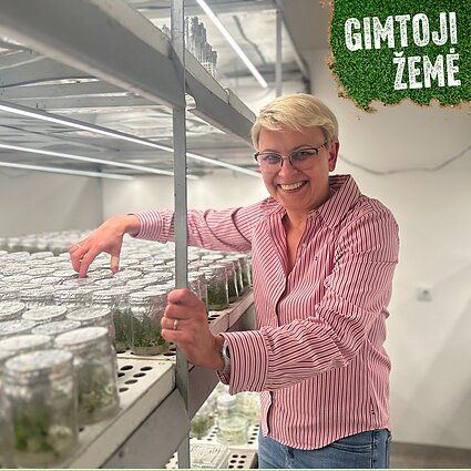 Lietuvos agrarinių ir miškų mokslų centro Sodininkystės ir daržininkystės instituto vieno iš skyrių vedėja daktarė Birutė Frerks.