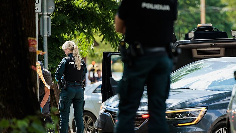 Už paauglio nužudymą – 8 metų bausmė: paaiškėjo, kodėl 15-metis įvykdė žiaurų nusikaltimą