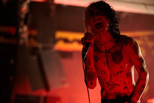 „Palaye Royale“