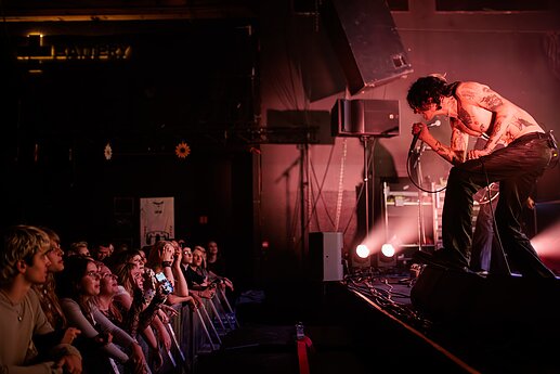 „Palaye Royale“