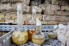 VDA meninė laboratorija VDA meninė laboratorija