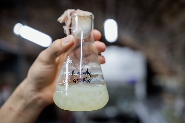 VDA meninė laboratorija VDA meninė laboratorija