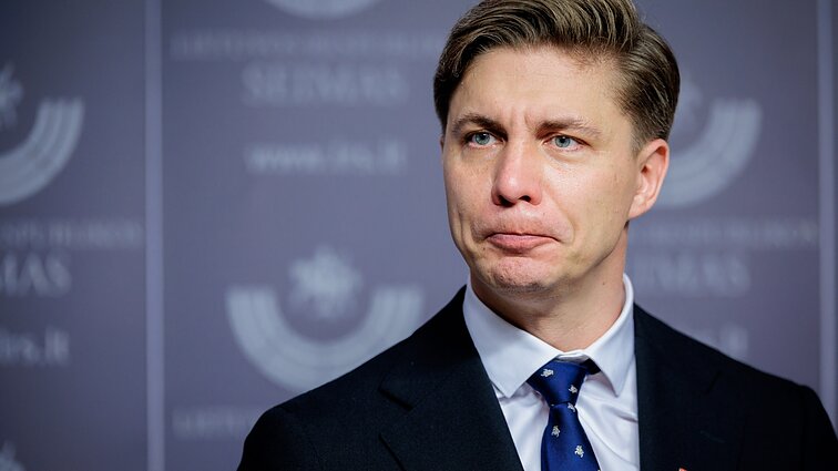 Ekspertė apie naująjį premjerą Sinkevičių: partija spaudė imtis lyderystės Ekspertė apie naująjį premjerą Sinkevičių: partija spaudė imtis lyderystės
