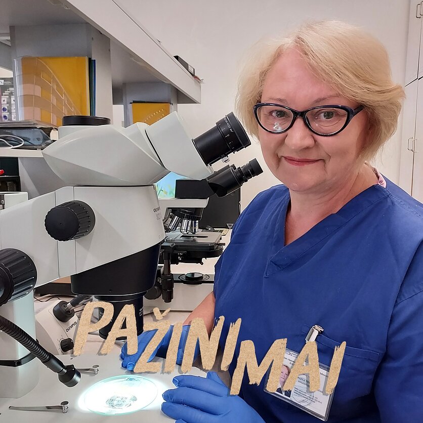 Asameninio archyvo nuotr., Daiva Veitienė