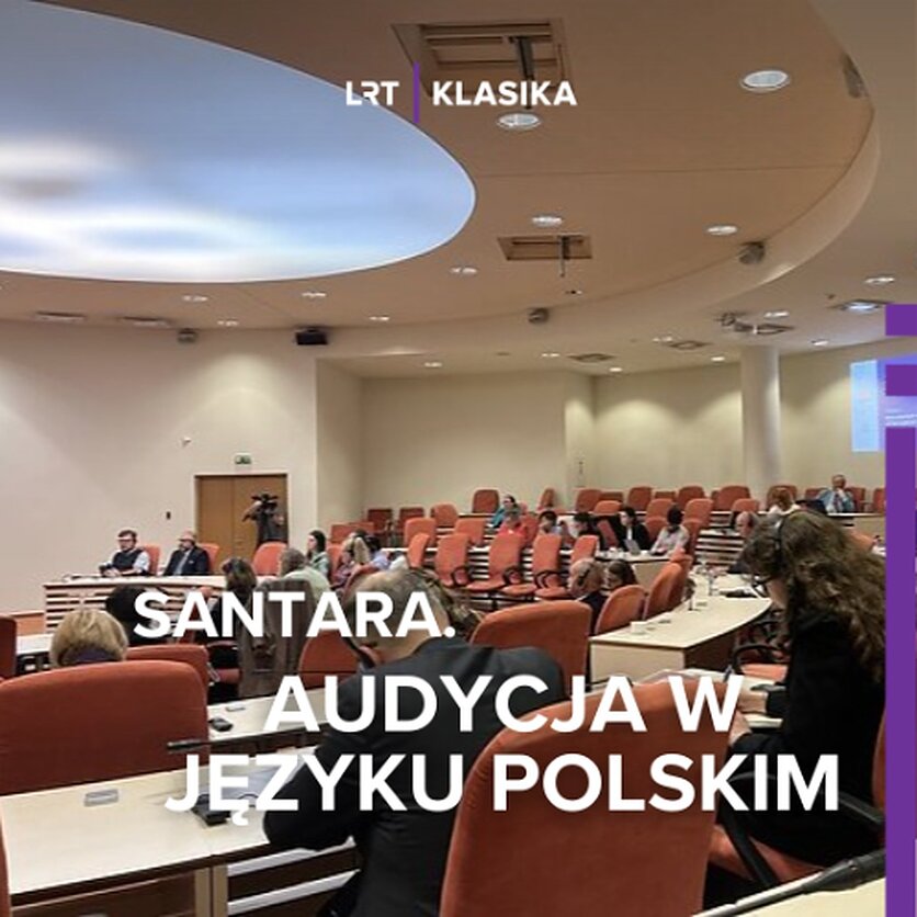 LRT.lt, Konferencja: Najlepsze europejskie doświadczenia w zakresie ochrony mniejszości narodowych