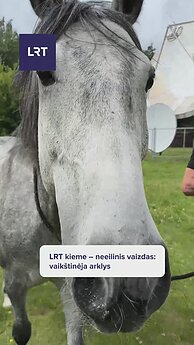 LRT kieme vykstant filmavimams – netikėti svečiai