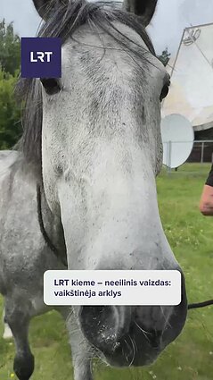 LRT kieme vykstant filmavimams – netikėti svečiai