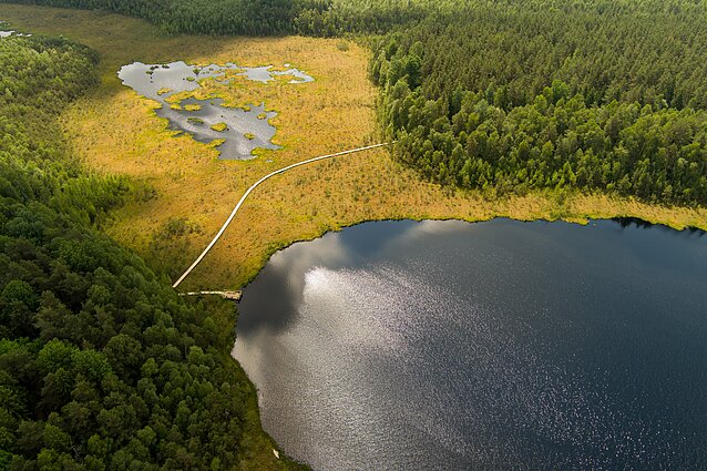 „Neužtenka vien gražios gamtos“: ištyrė, kokią ekonominę naudą atneša pažintiniai takai
