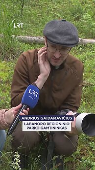 Kodėl per Jonines dažnai lyja?