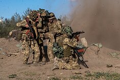 Ukrainos kariai Ukrainos kariai