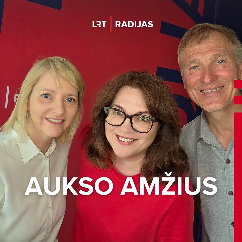 Iš darbo išėjai savo noru – nėra išmokos? „Tai būtų bausmė“
