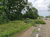 Audros padariniai Varėnos r. Audros padariniai Varėnos r.