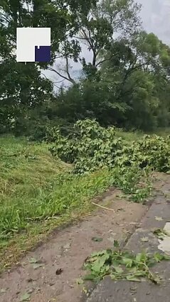 Po kaitros Varėnos rajone – audringų orų padariniai